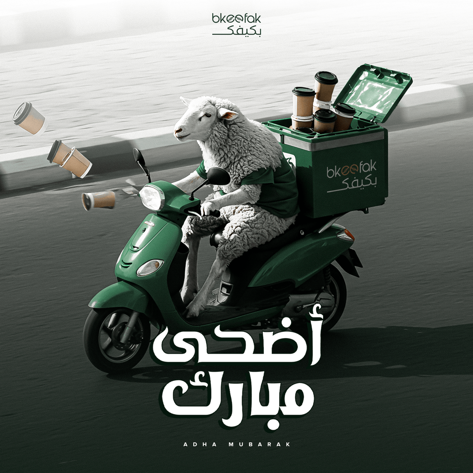 Social design 7