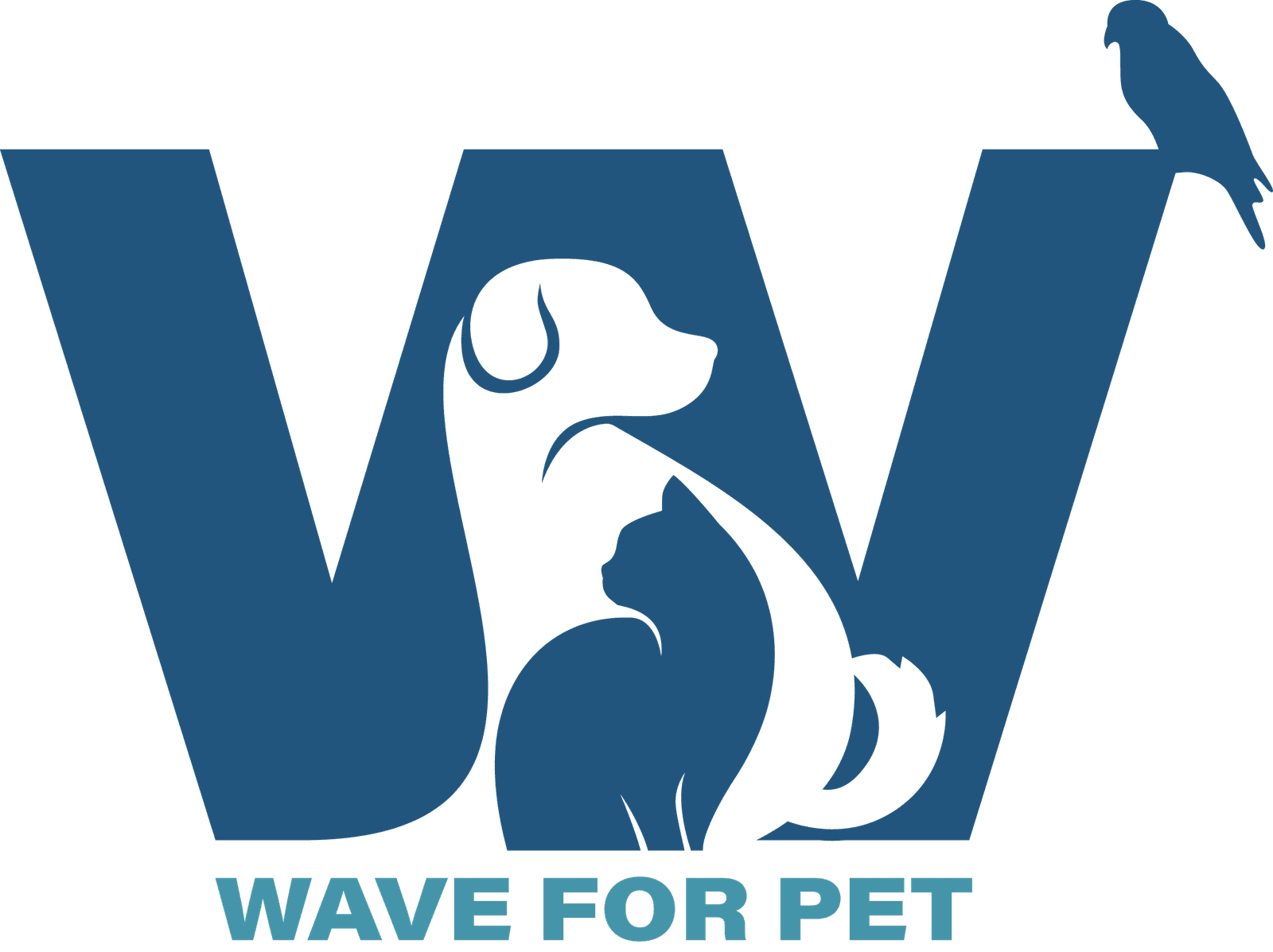 Logo 1