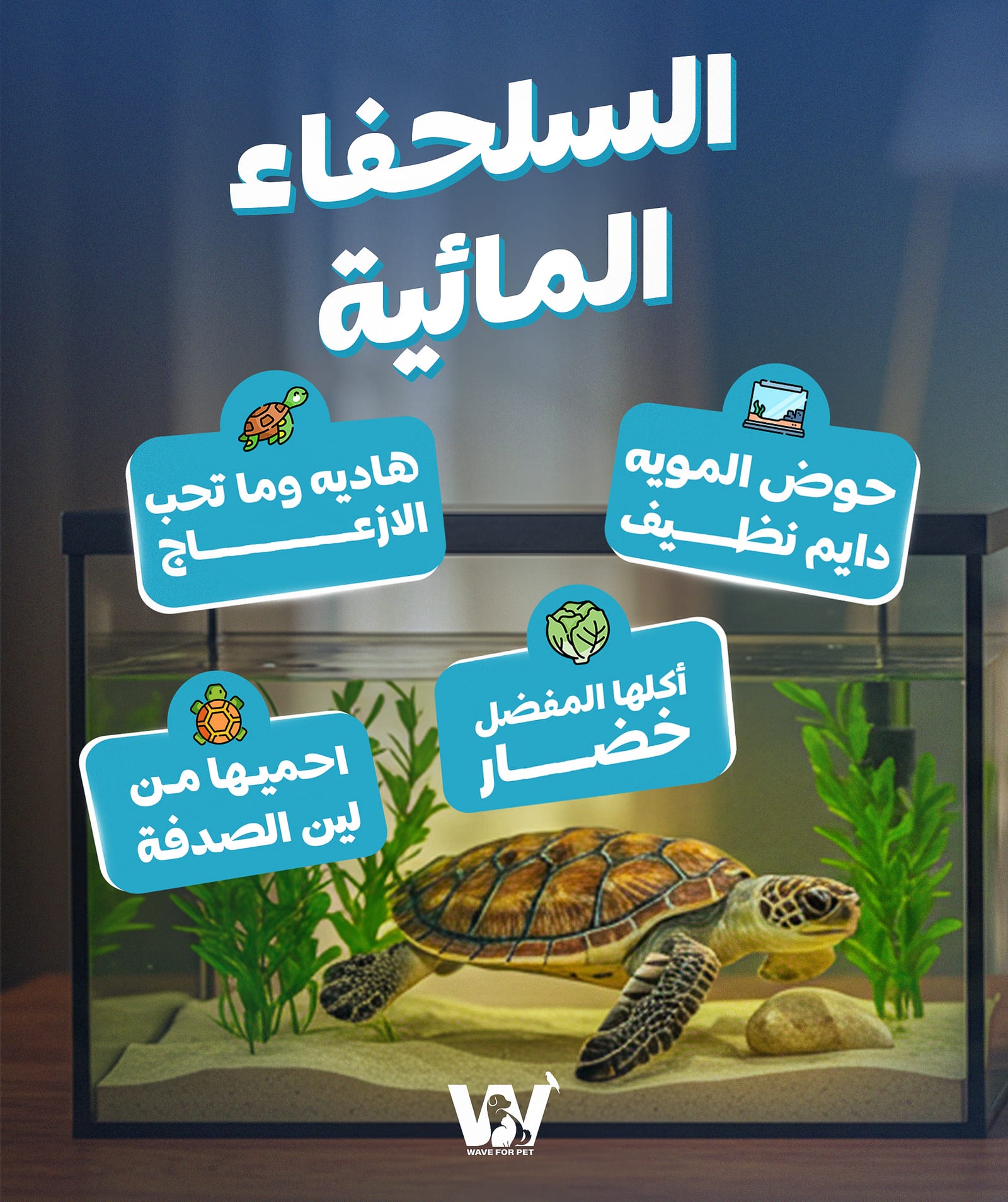 Social design 1