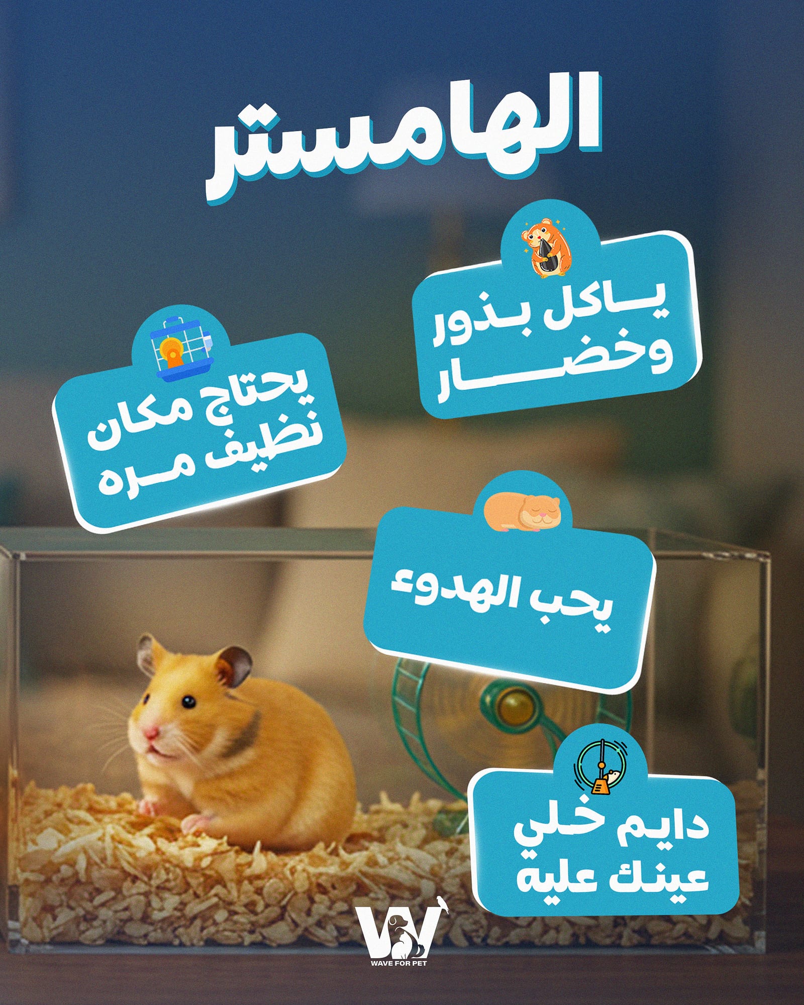Social design 2