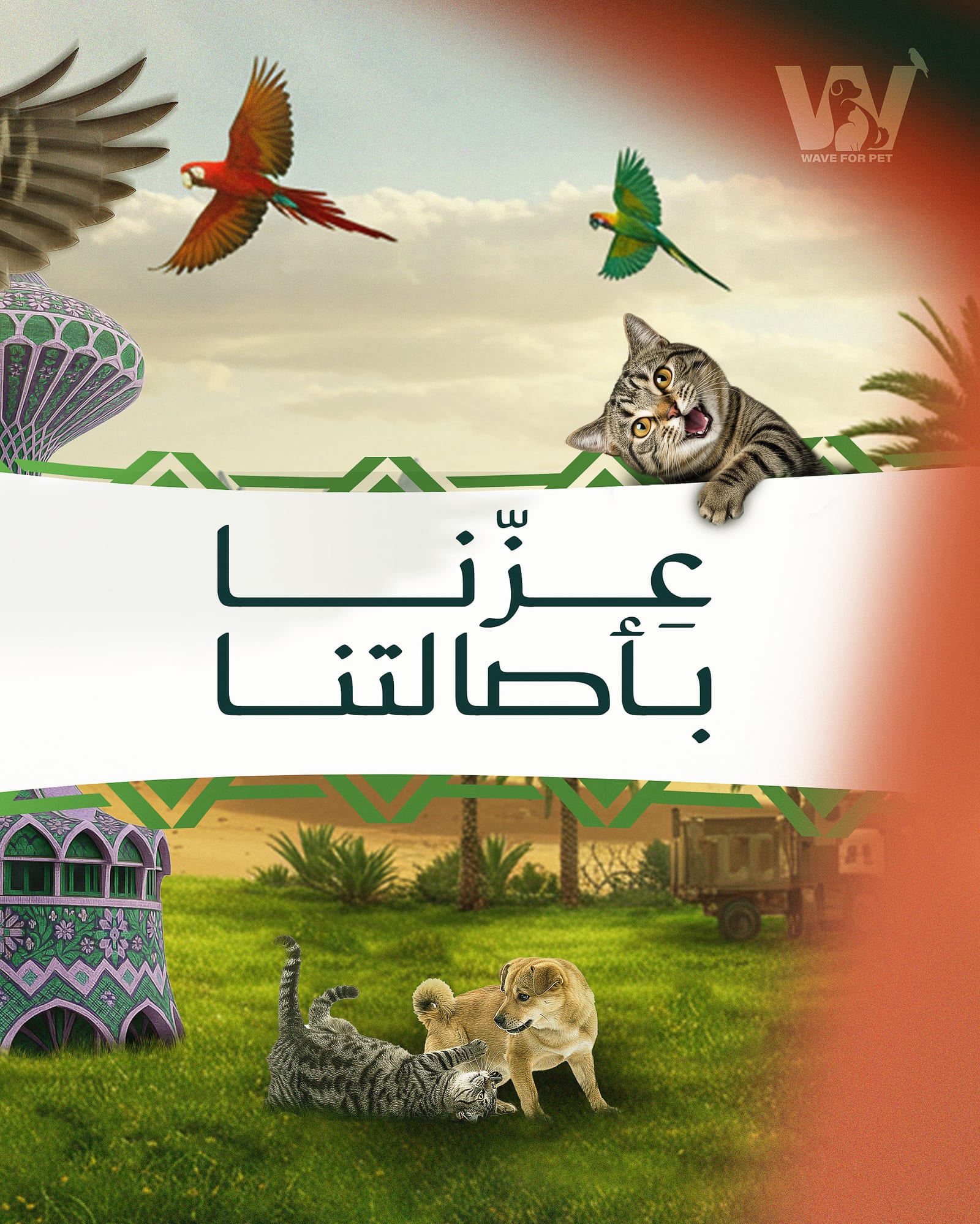 Social design 3