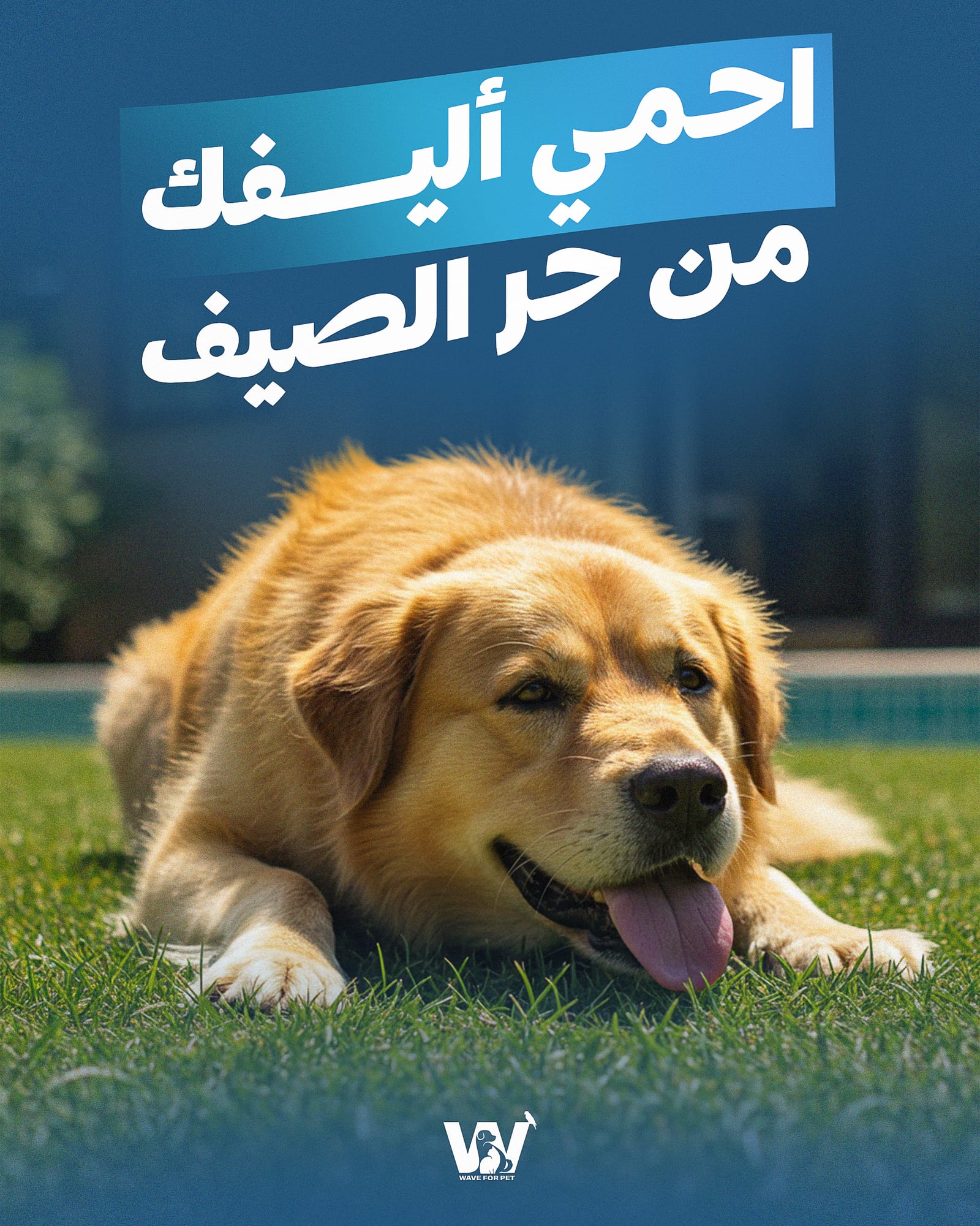 Social design 5